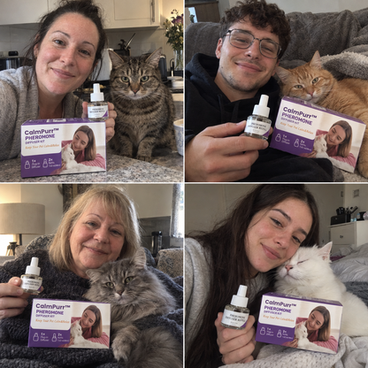 CalmPurr™ Cat Calming Pheromone Diffuser Kit